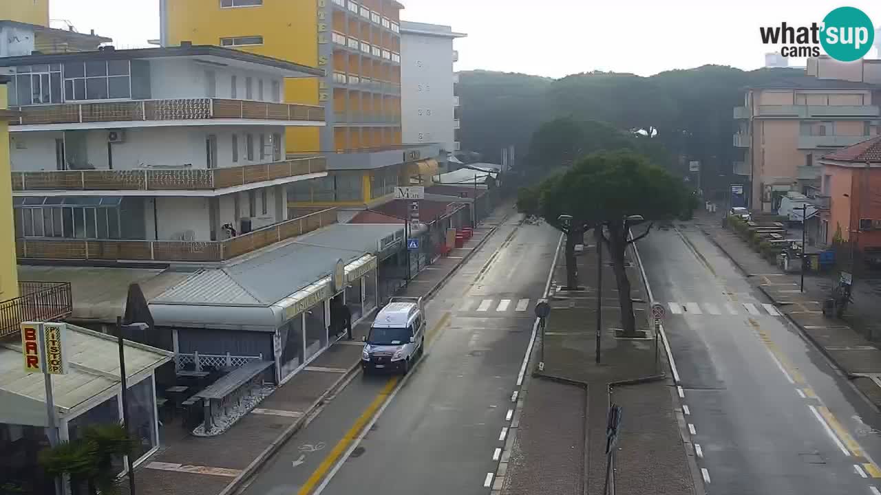 Livecam Rosolina mare webcam – Centro citta