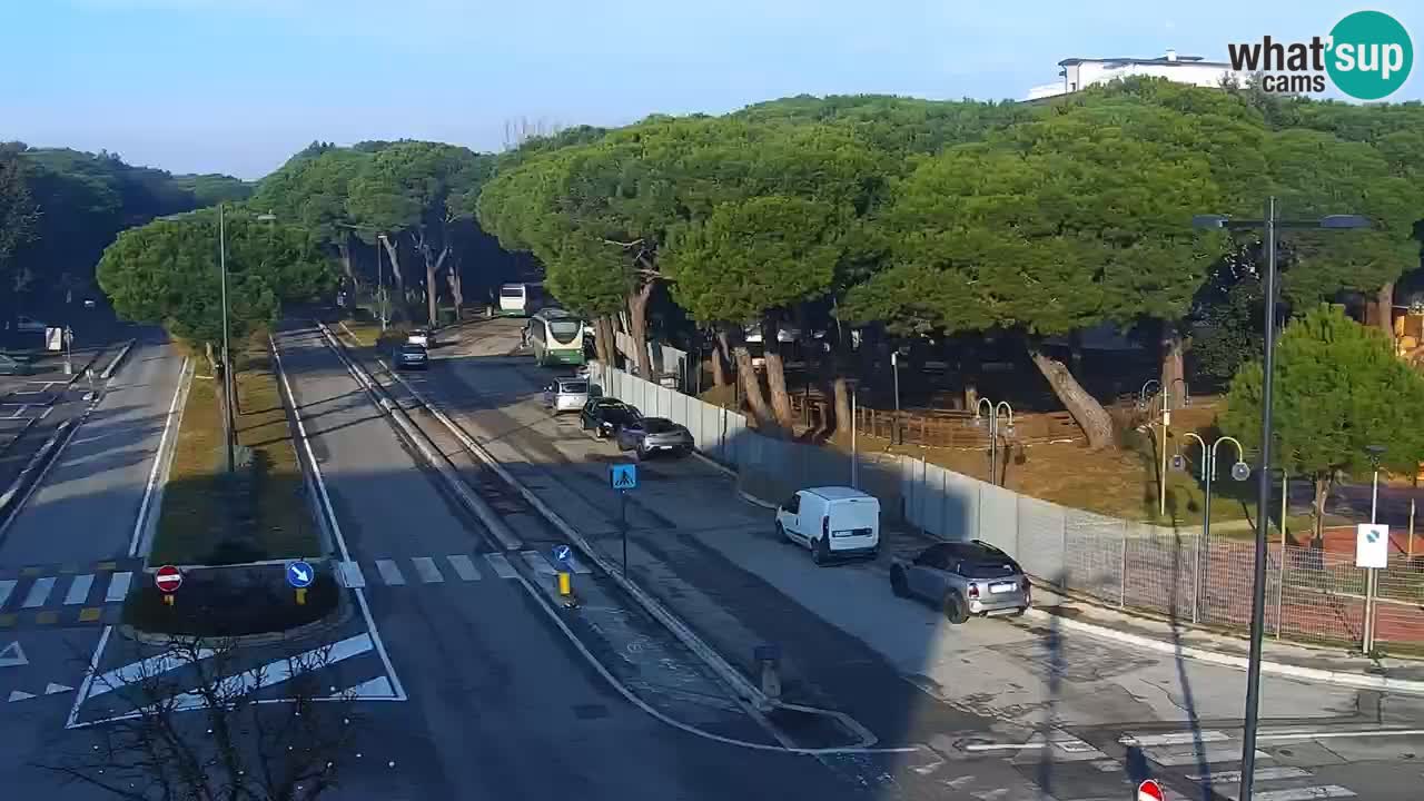 Livecam Rosolina mare webcam – Centro citta