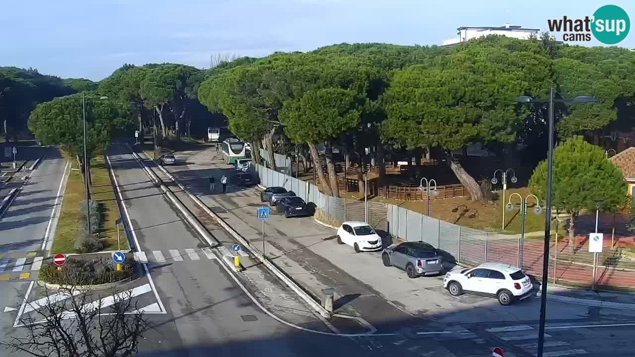 Livecam Rosolina mare