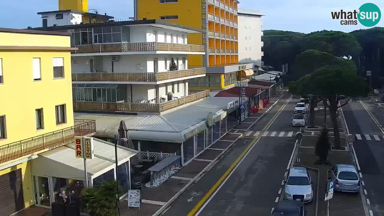 Livecam Rosolina mare webcam – Centro citta