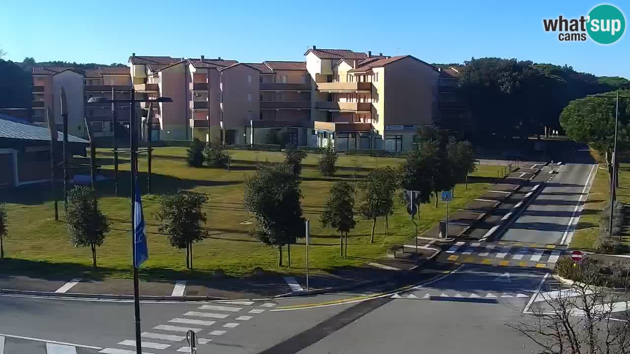 Livecam Rosolina mare