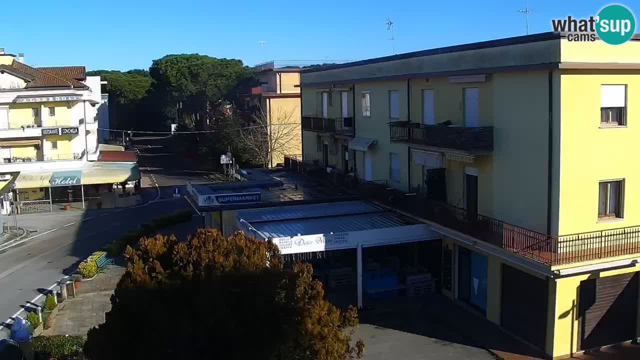 Livecam Rosolina mare