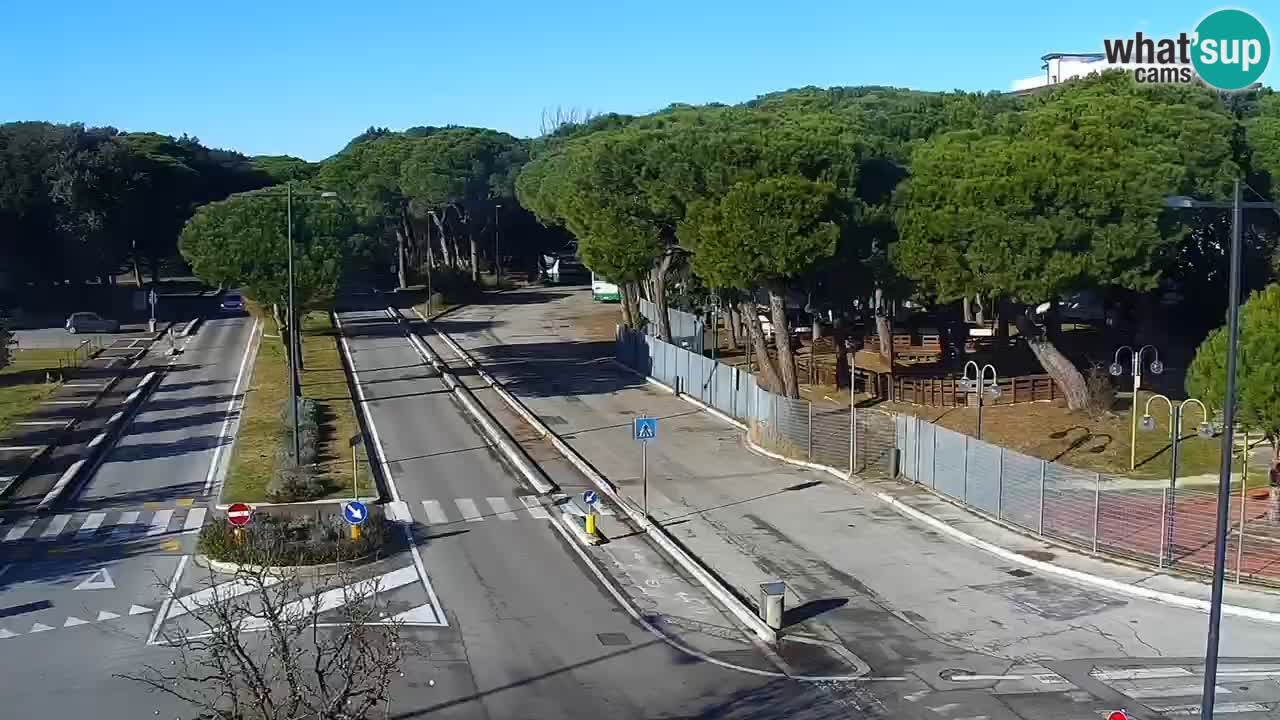 Livecam Rosolina mare webcam – Centro citta