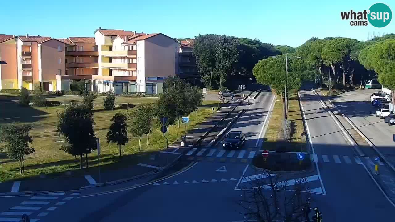 Livecam Rosolina mare