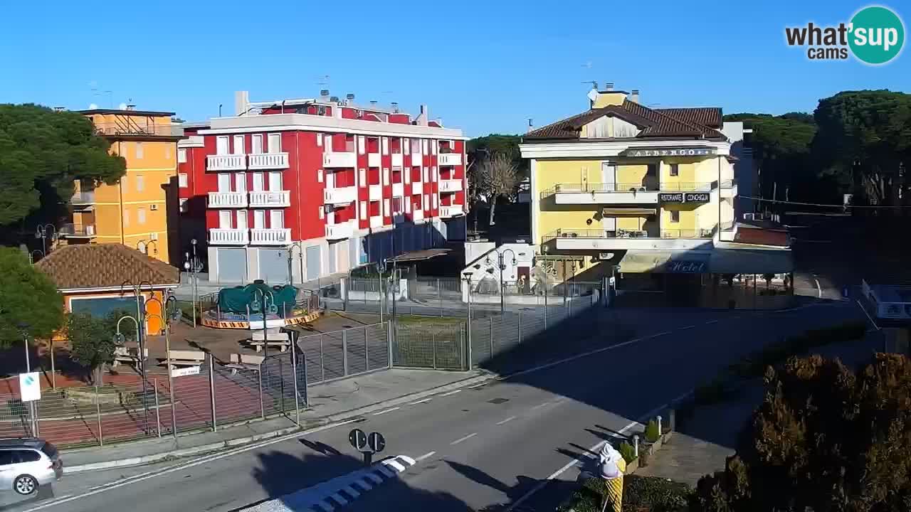 Livecam Rosolina mare