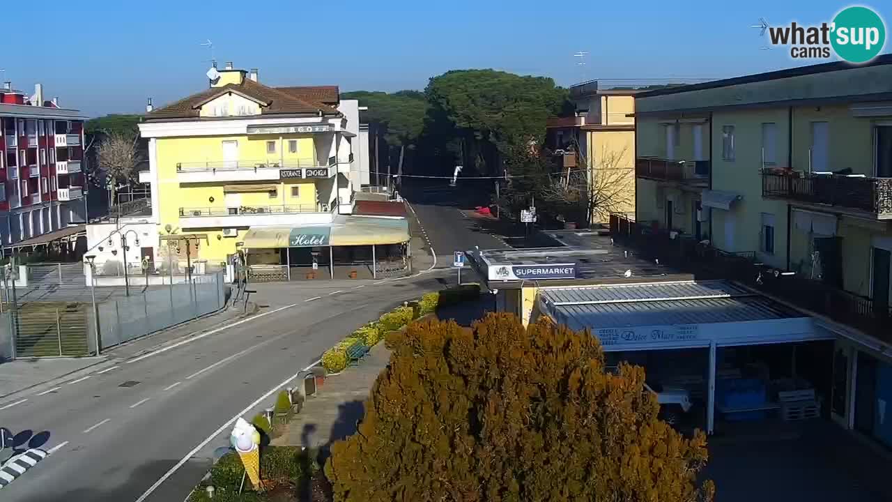 Livecam Rosolina mare