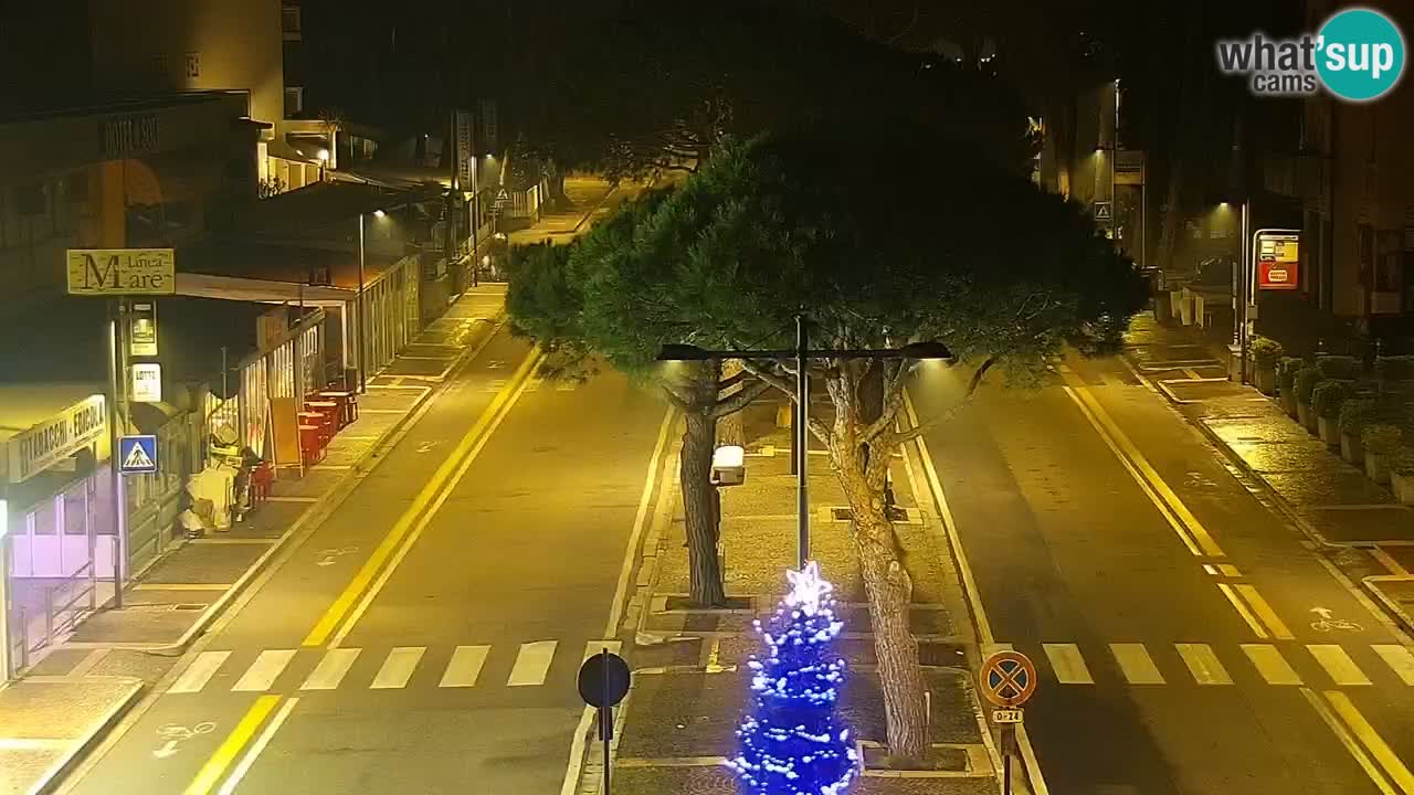 LIVE Webcam Rosolina mare – City center