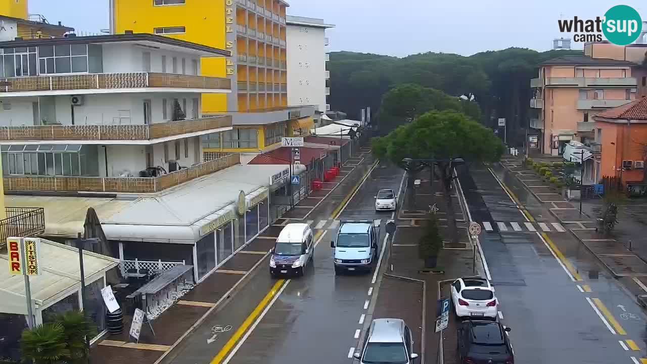 Livecam Rosolina mare