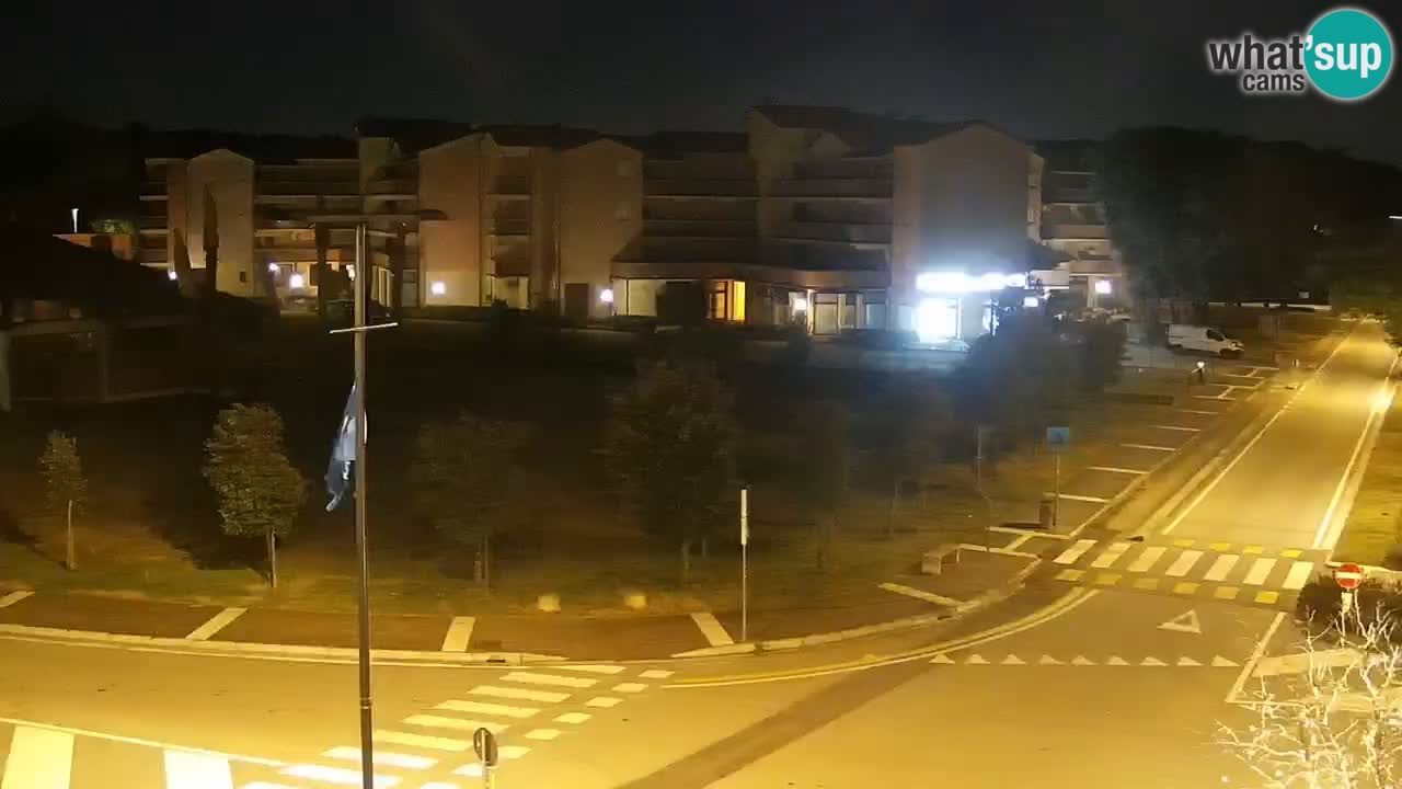 Livecam Rosolina mare