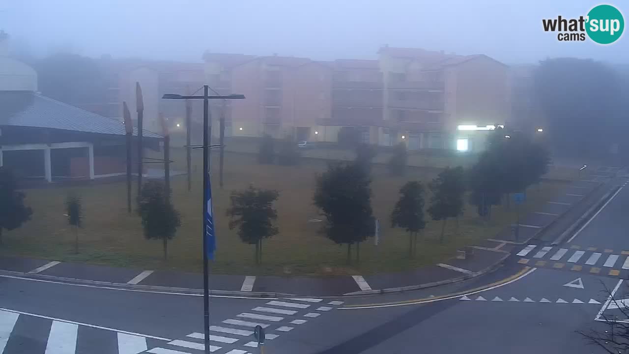 Webcam Rosolina mare Stadtzentrum