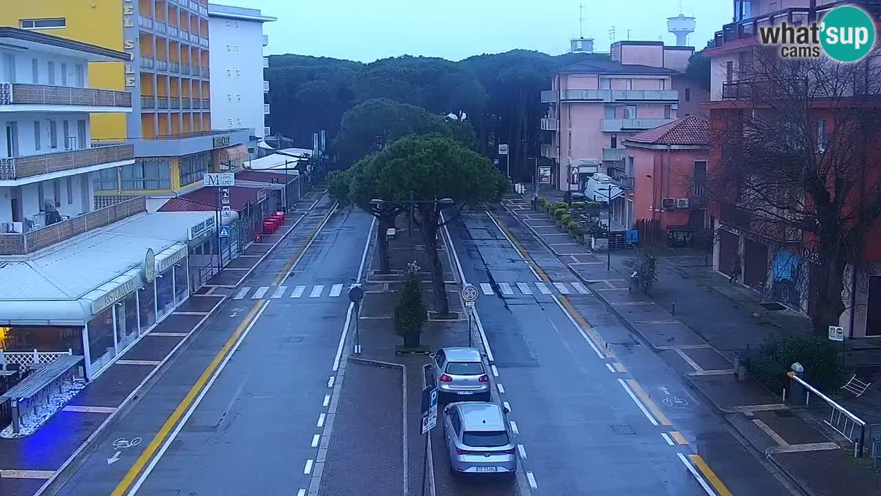 Livecam Rosolina mare