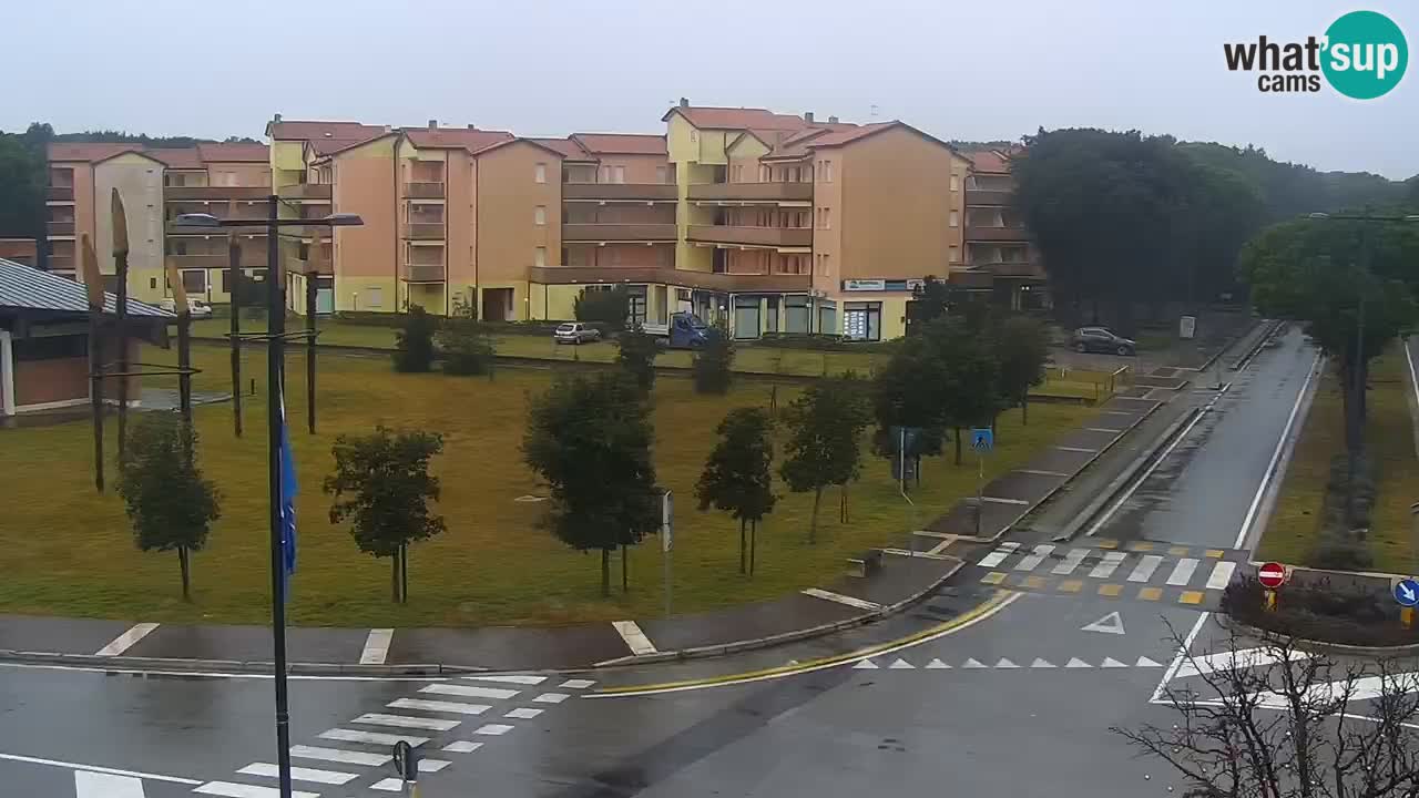 Livecam Rosolina mare webcam – Centro citta