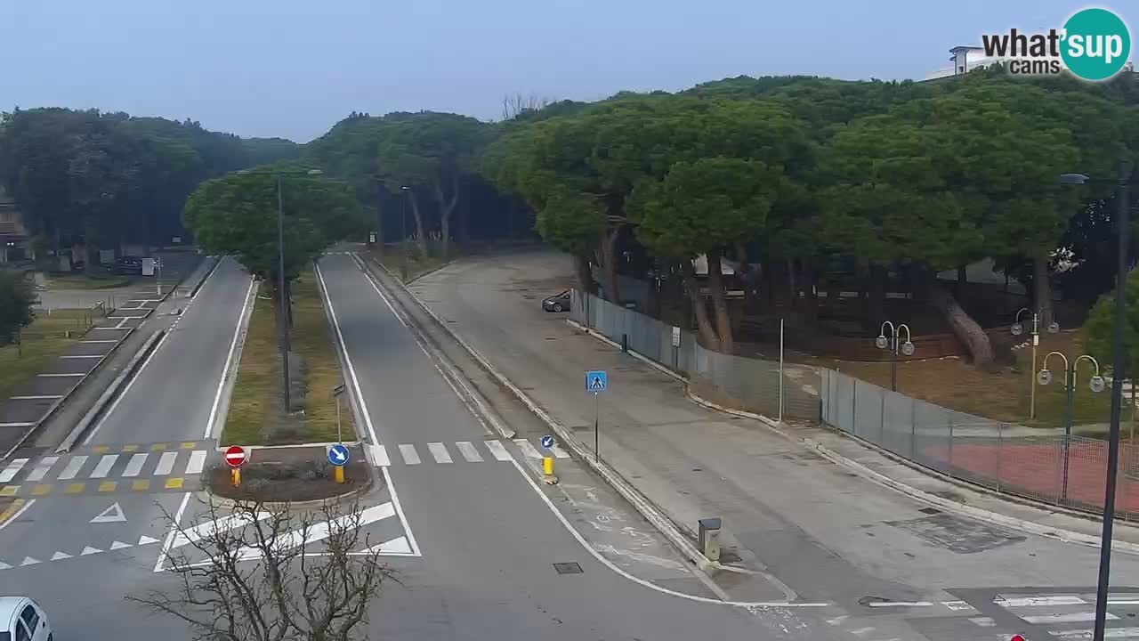 Livecam Rosolina mare