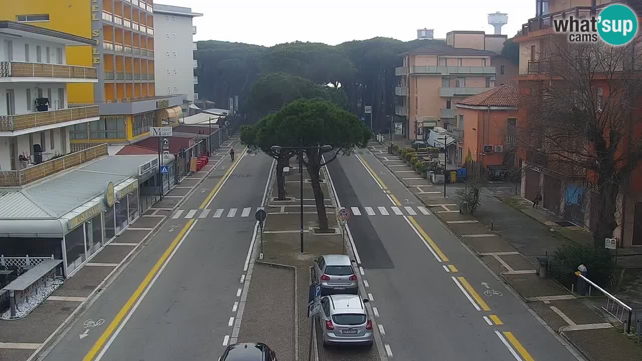 Livecam Rosolina mare