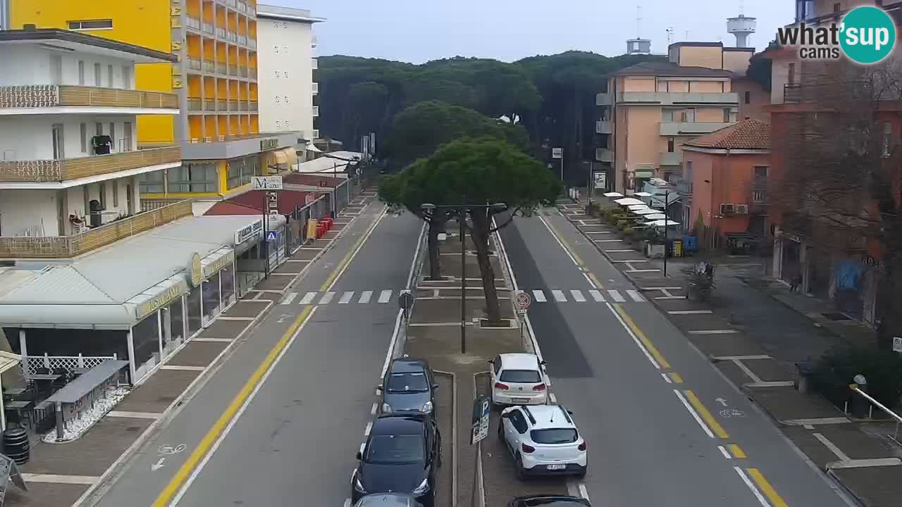 Livecam Rosolina mare webcam – Centro citta