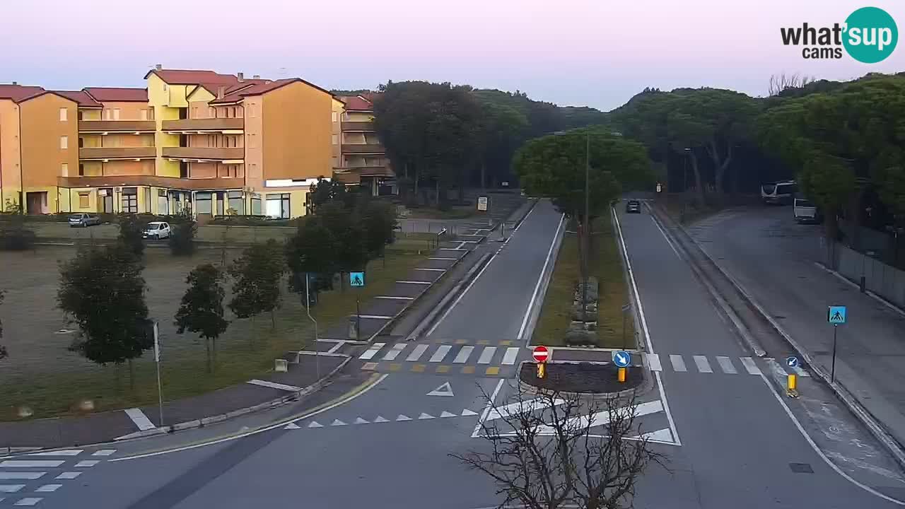 Webcam Rosolina mare Stadtzentrum