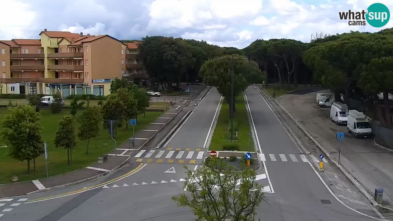 Livecam Rosolina mare