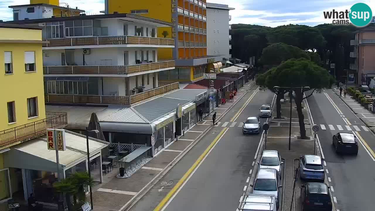 Livecam Rosolina mare webcam – Centro citta