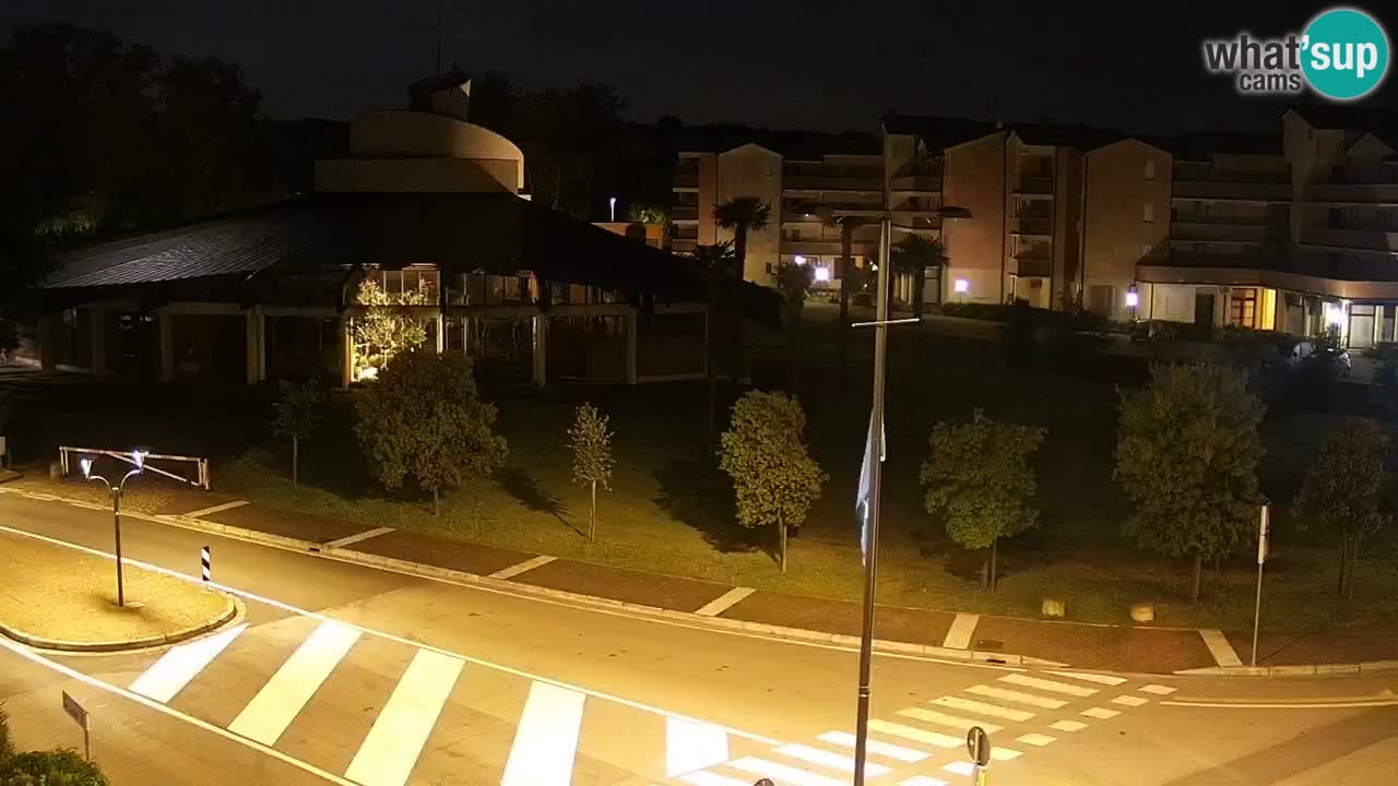 Camera en vivo Rosolina mare