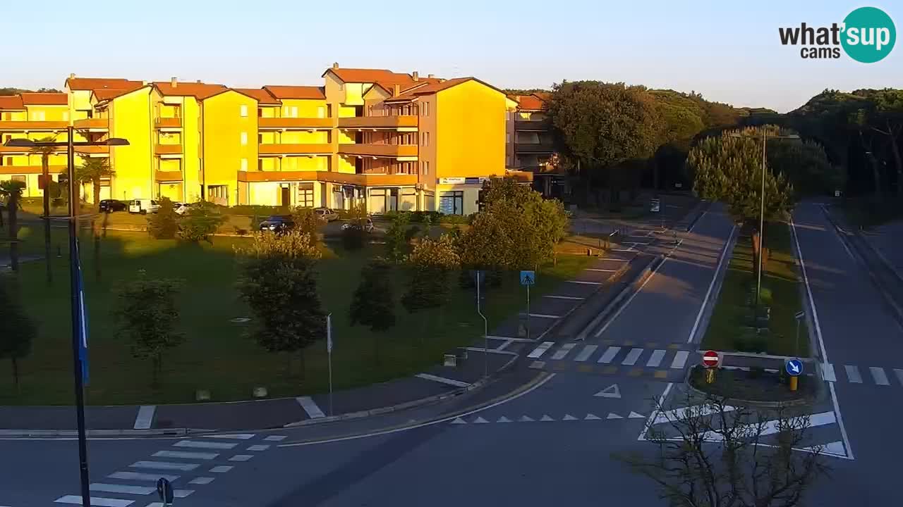 Camera en vivo Rosolina mare