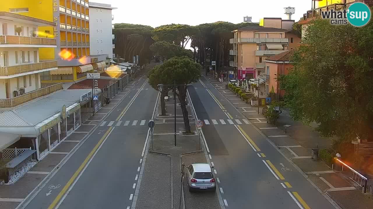 Livecam Rosolina mare