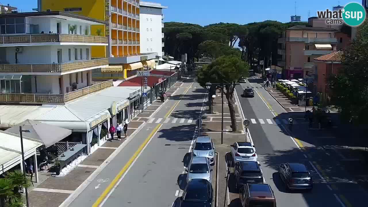 Livecam Rosolina mare