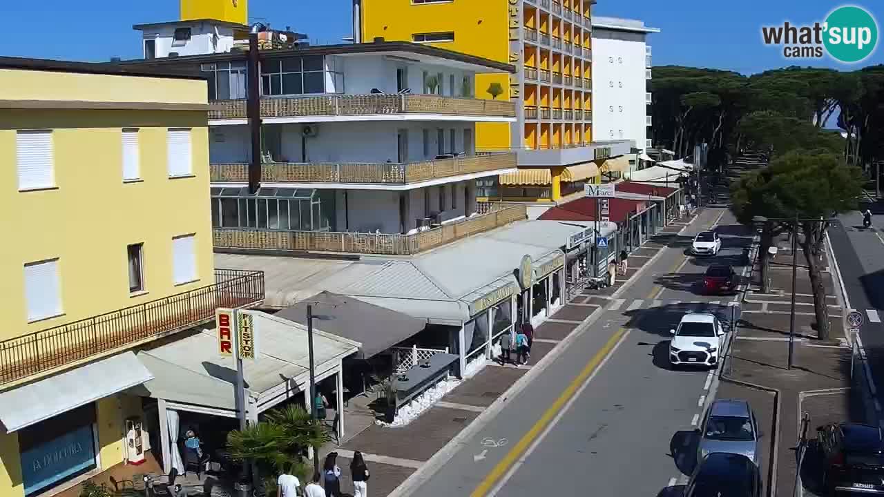 Livecam Rosolina mare