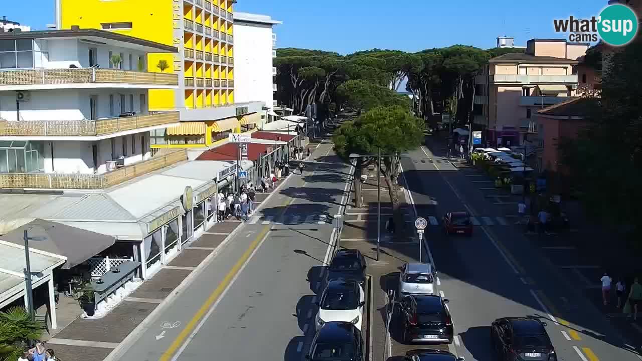Camera en vivo Rosolina mare