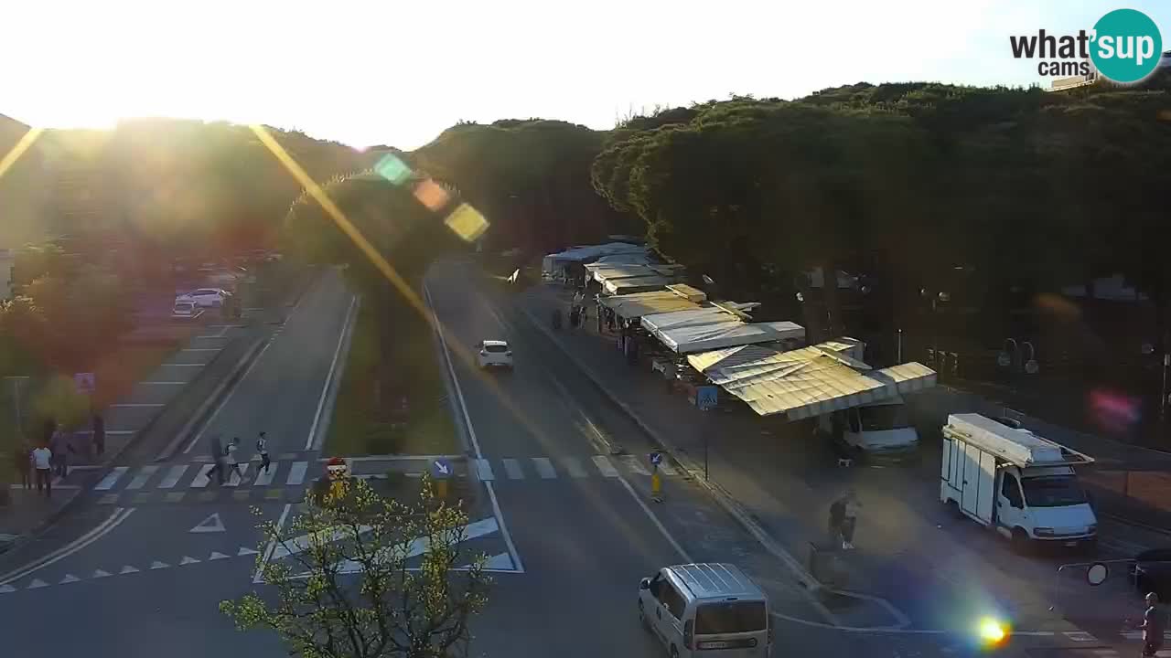 Livecam Rosolina mare