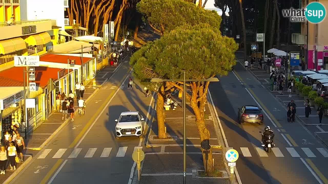 Livecam Rosolina mare