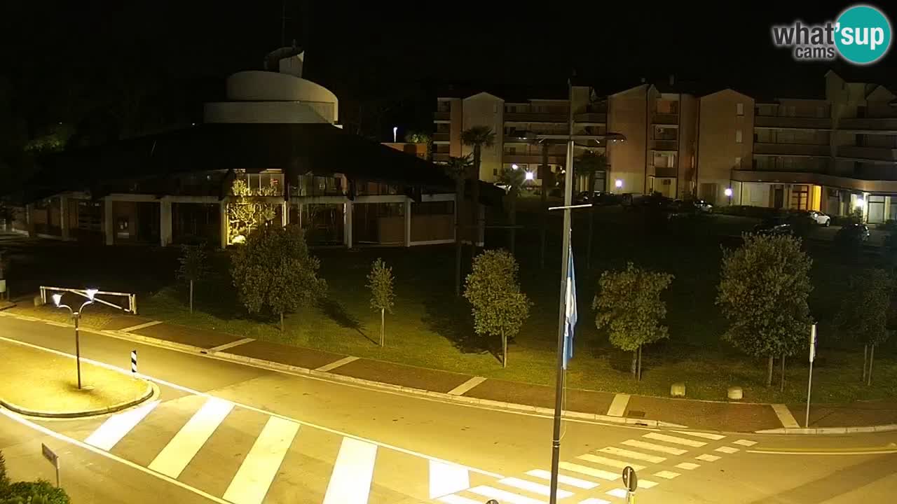 Camera en vivo Rosolina mare