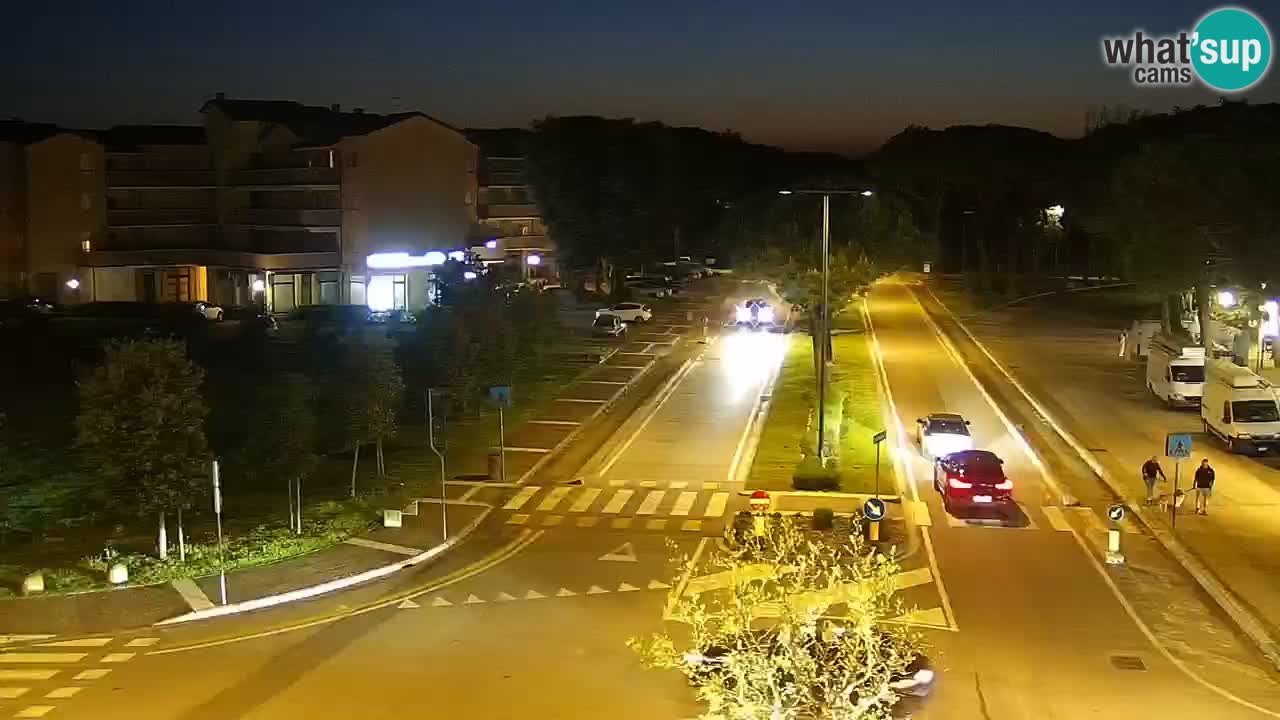 Livecam Rosolina mare webcam – Centro citta