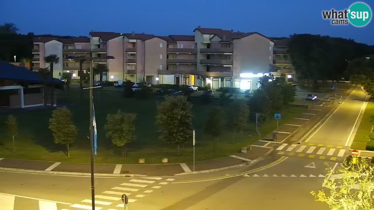 Camera en vivo Rosolina mare