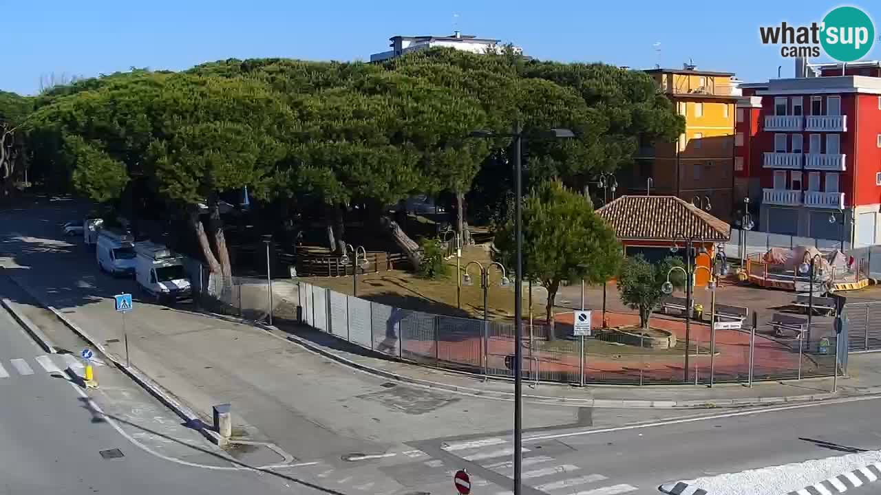 Livecam Rosolina mare