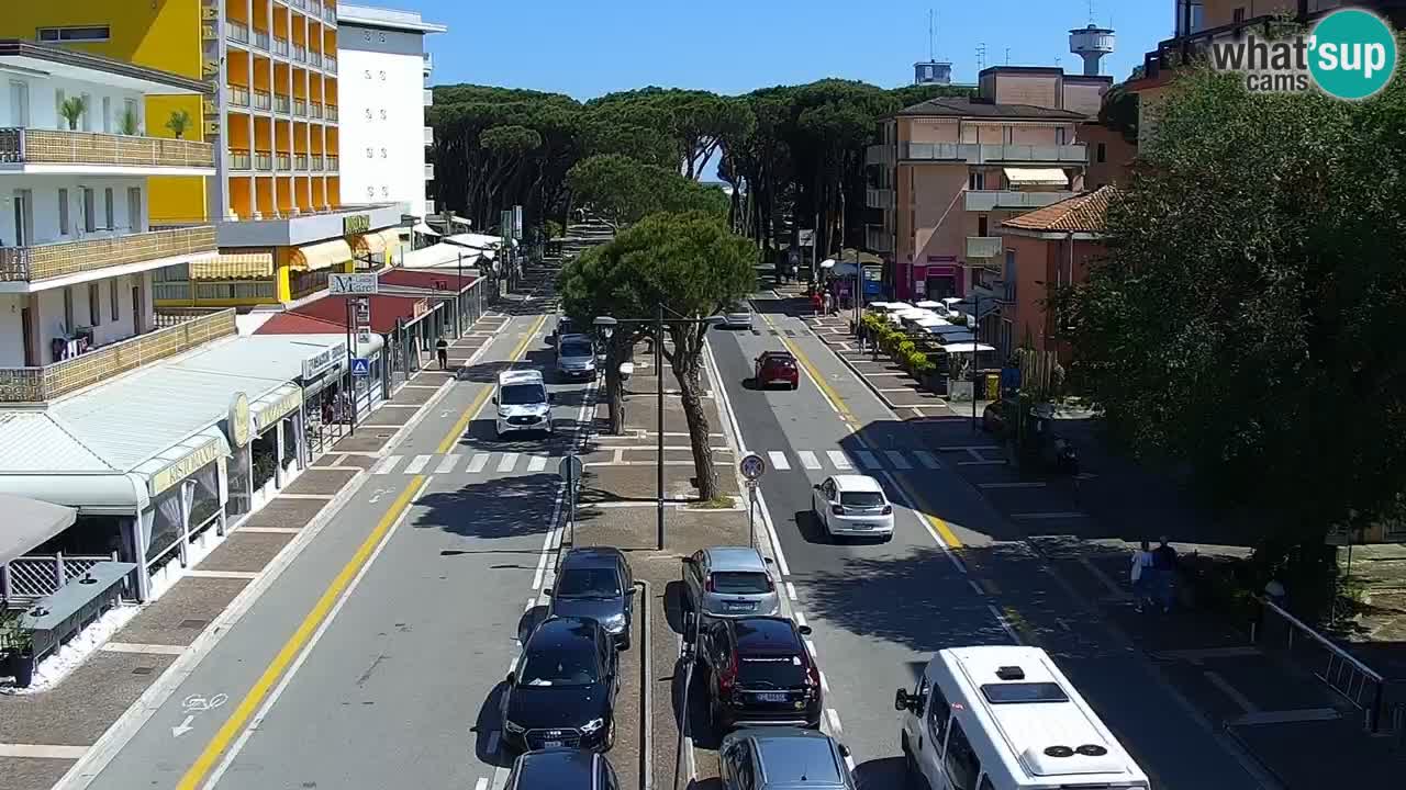 Livecam Rosolina mare