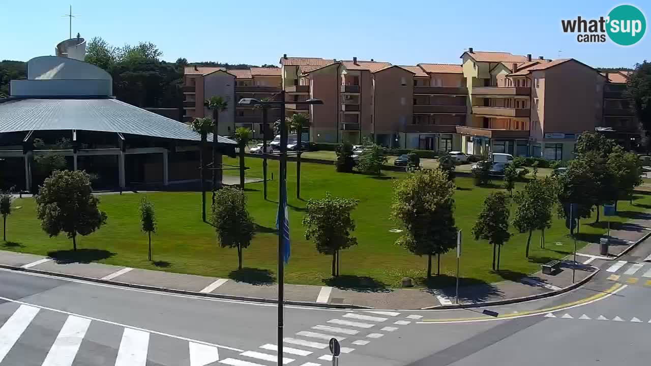 Camera en vivo Rosolina mare