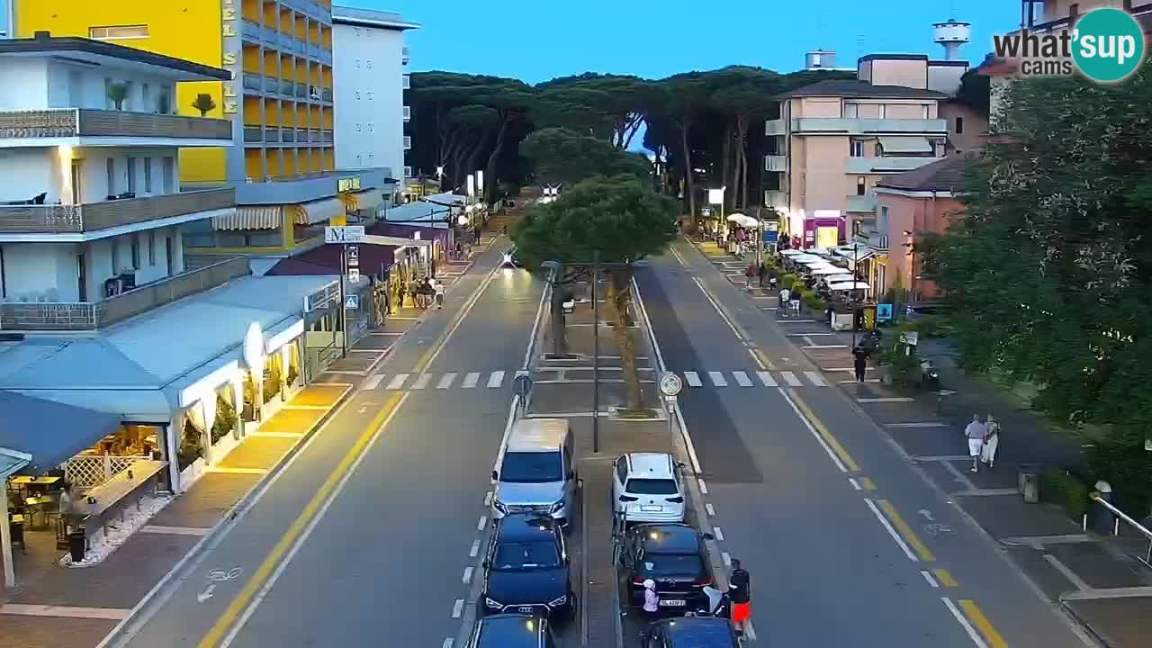Livecam Rosolina mare webcam – Centro citta