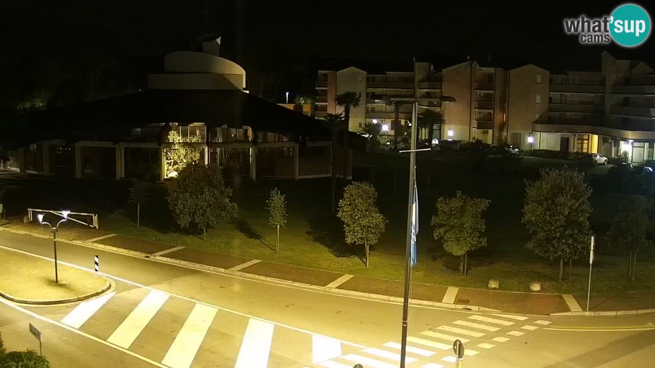 Camera en vivo Rosolina mare