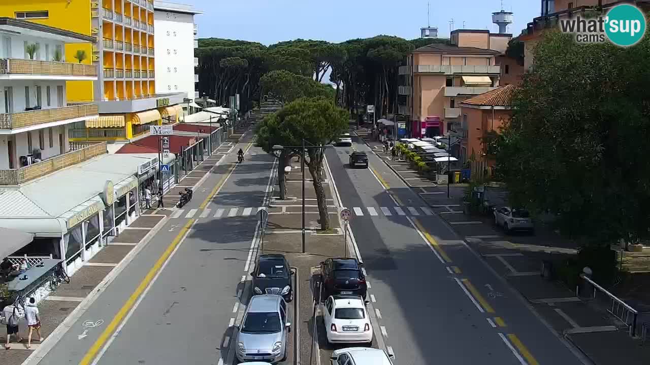 Camera en vivo Rosolina mare