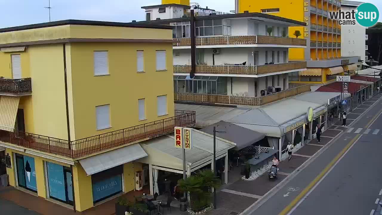 Camera en vivo Rosolina mare