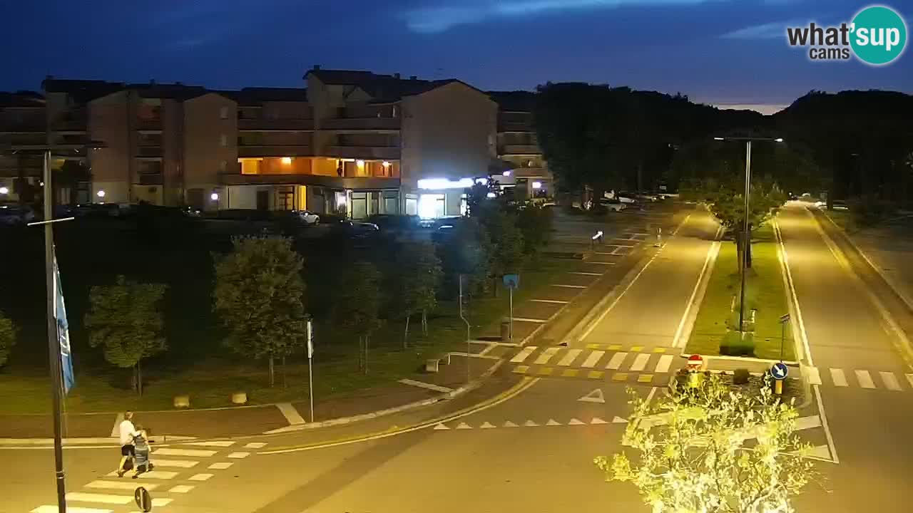 Livecam Rosolina mare