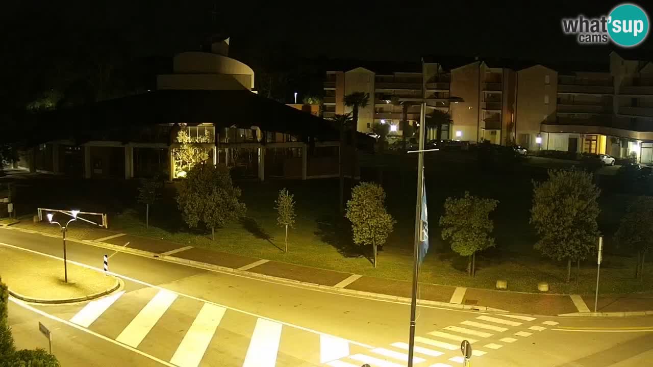 Camera en vivo Rosolina mare