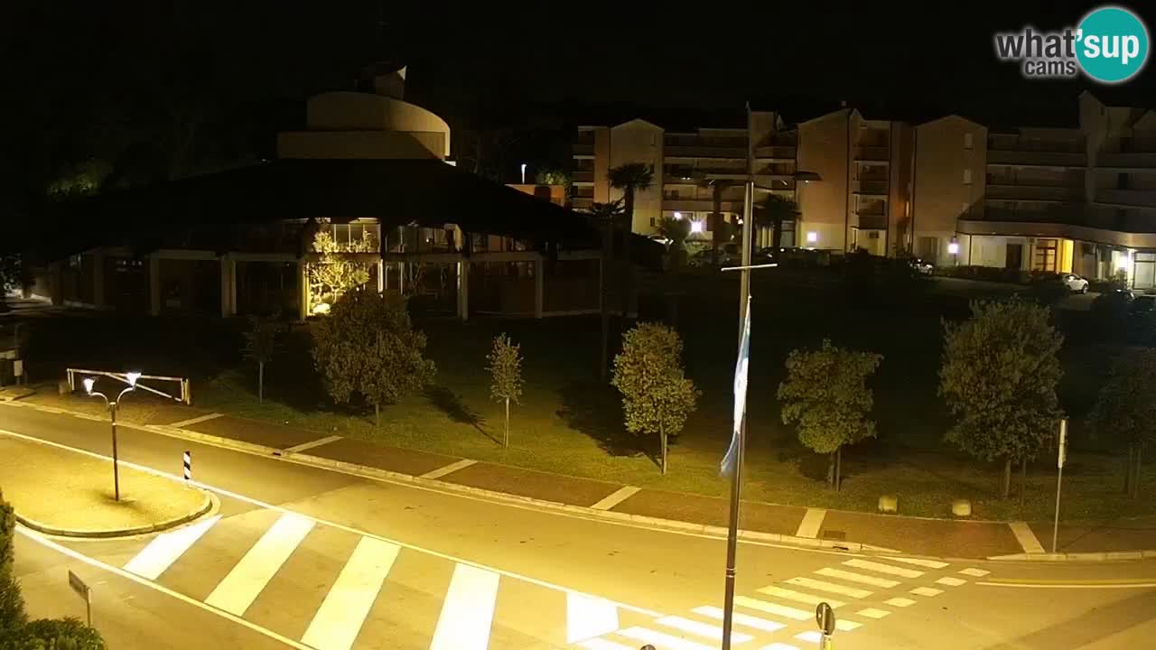 Camera en vivo Rosolina mare