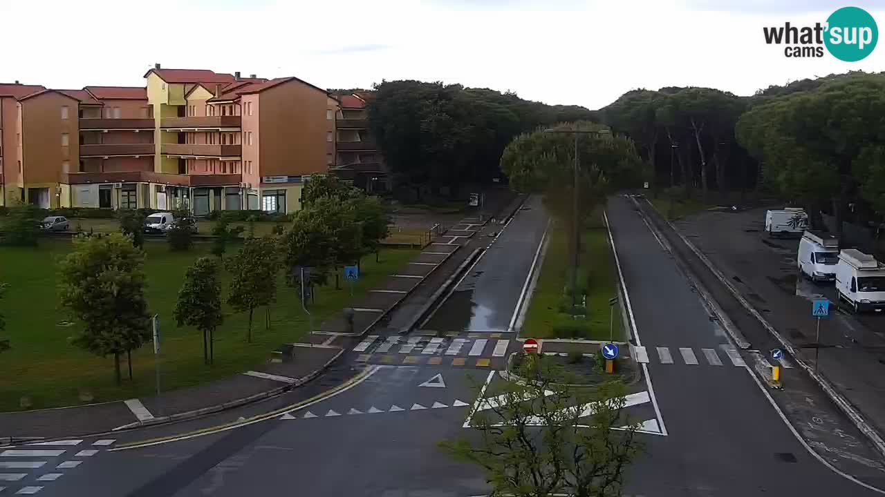 Camera en vivo Rosolina mare