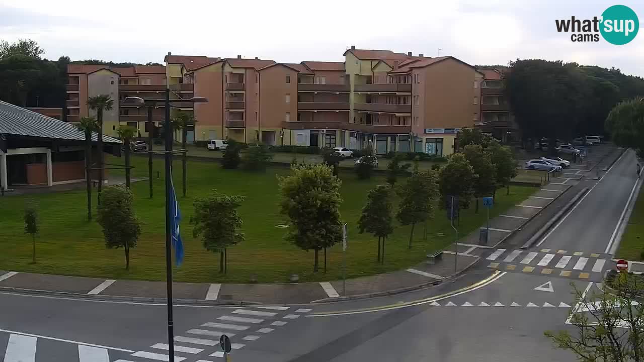 Web kamera Rosolina mare