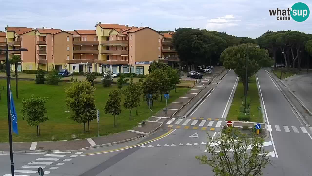 Livecam Rosolina mare