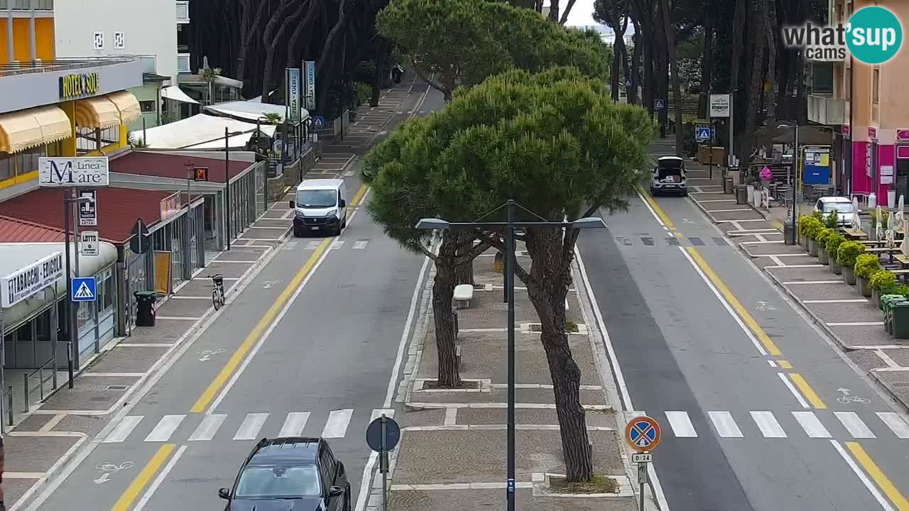 Camera en vivo Rosolina mare