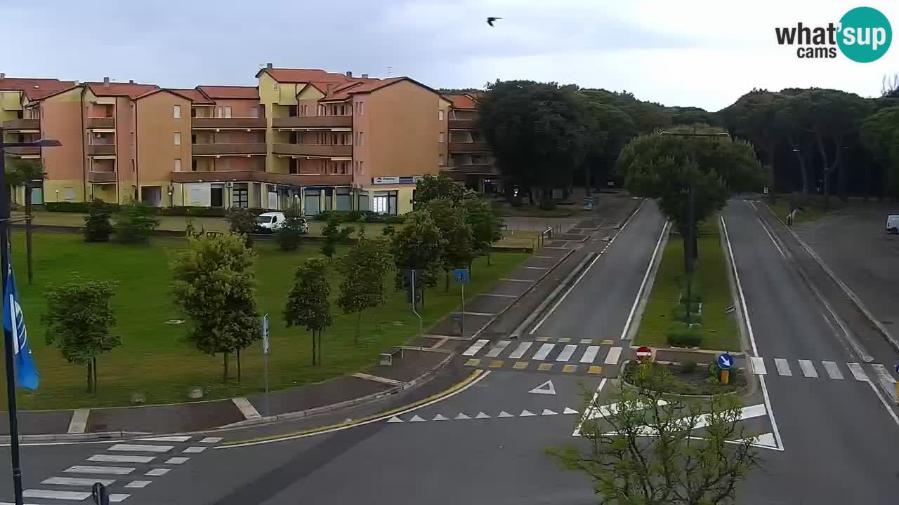 Webcam Rosolina mare Stadtzentrum