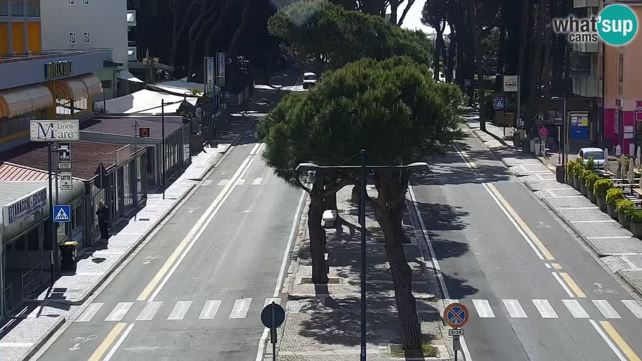 Camera en vivo Rosolina mare