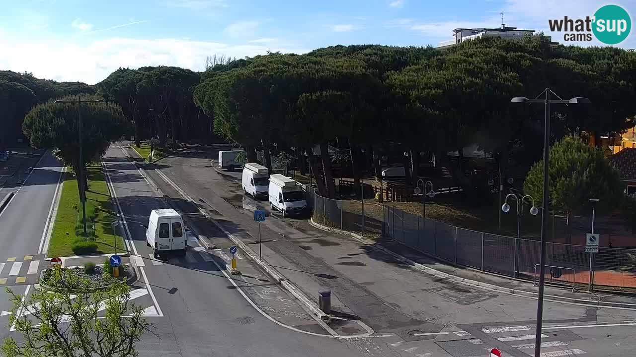 Camera en vivo Rosolina mare